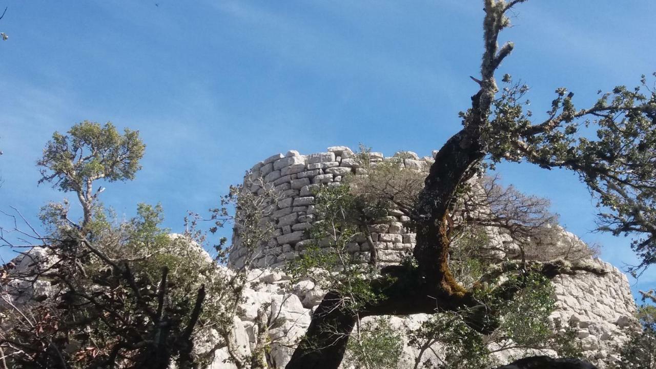 Apartamento Sa Dommo De Mammai