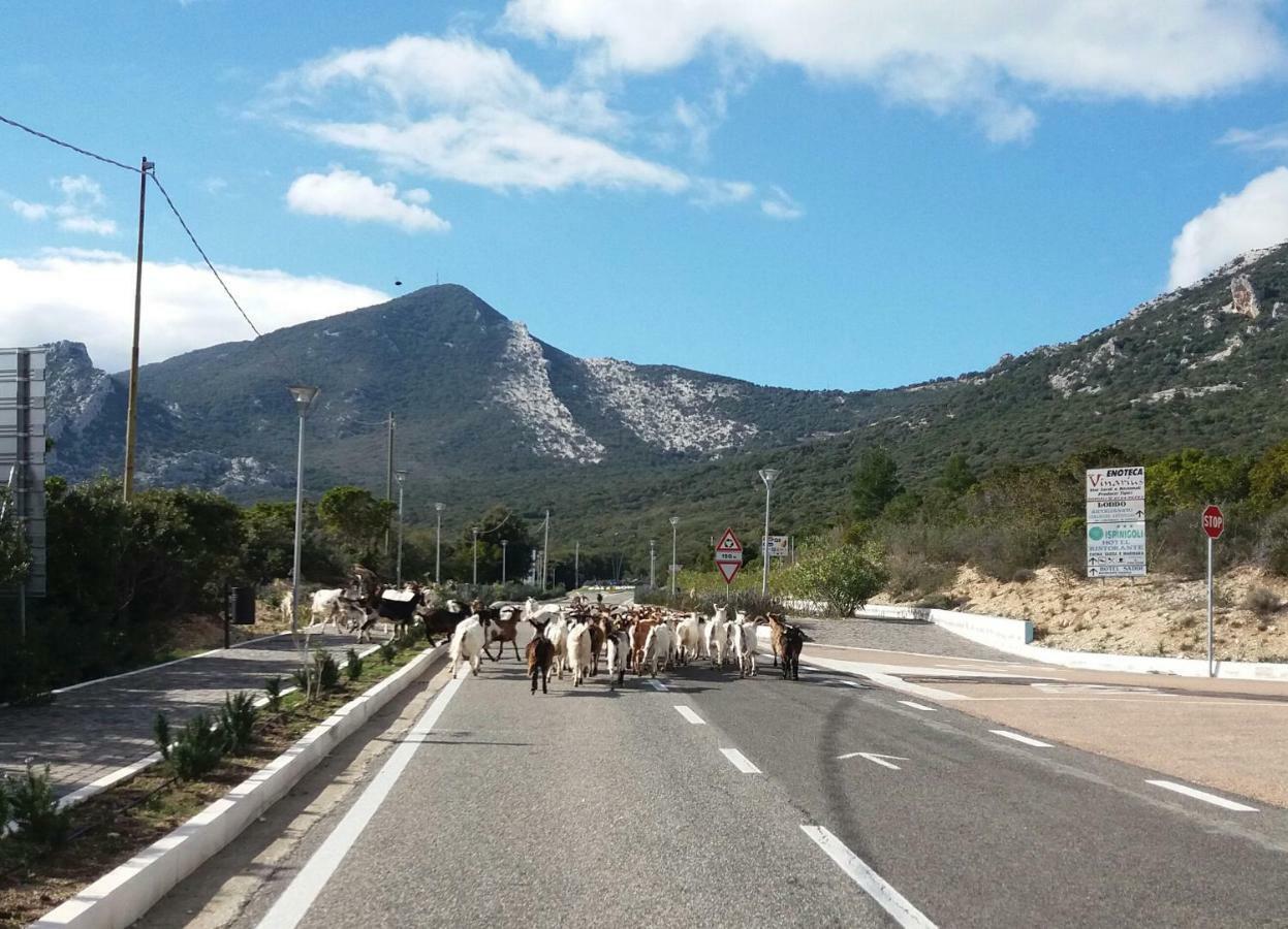Sa Dommo De Mammai Apartamento