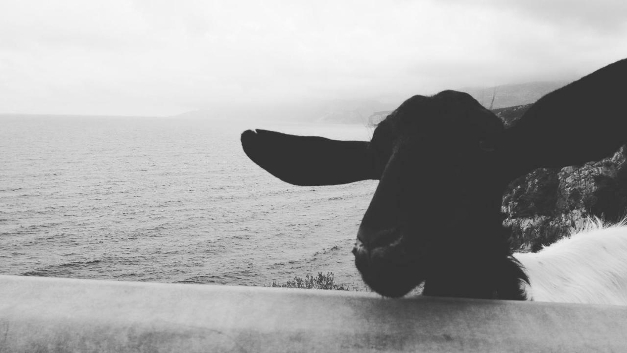Apartamento Sa Dommo De Mammai *