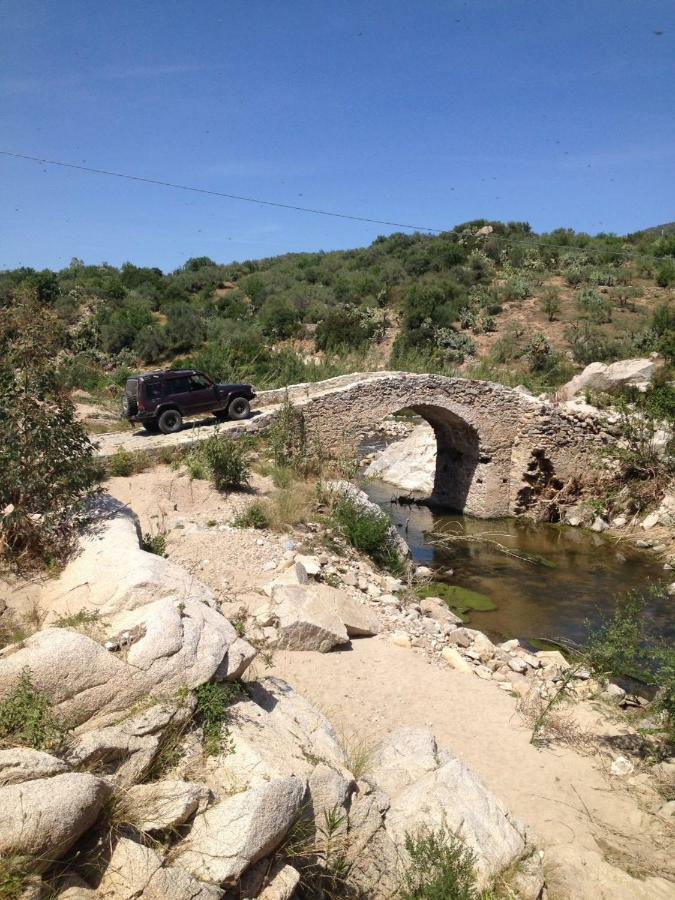 Sa Dommo De Mammai Apartamento Cala Gonone
