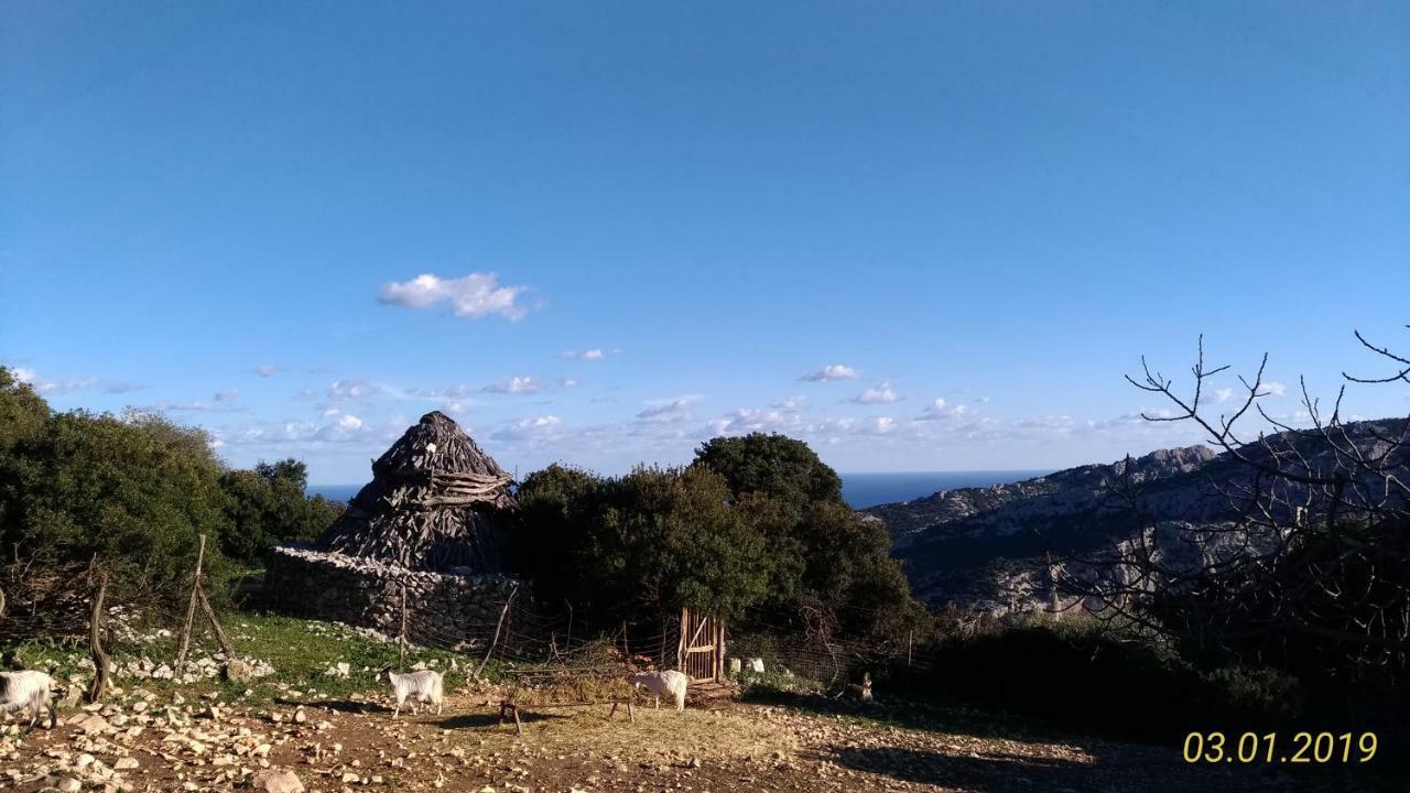 Sa Dommo De Mammai Apartamento